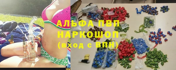 молекула духа Пересвет
